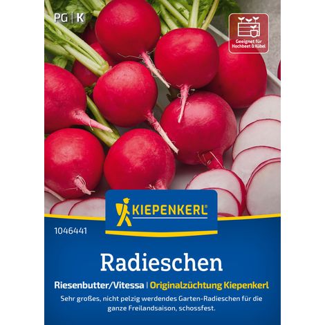Kiepenkerl Saatgut Radieschen Riesenbutter/Vitessa für ca. 1 – 1,8 m² (1/2)