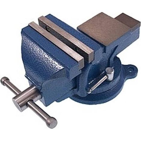 Étau Parallèle 100 mm - Fonte - 5.6 kg - Robuste et durable - Usage Professionnel - Beast