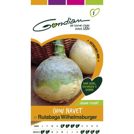 Gondian - Chou Navet Rutabaga Wilhelmsburger