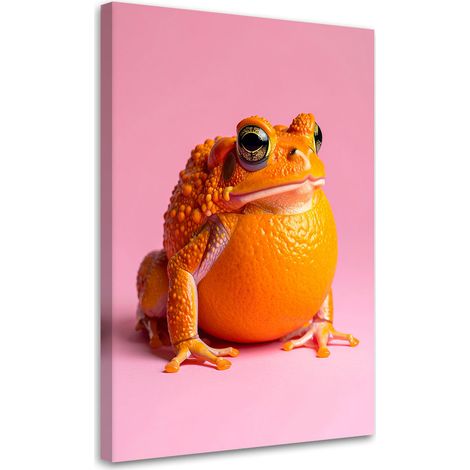 Tableau déco Abstraction Orange Grenouille sur fond rose 70x100 (1/4)