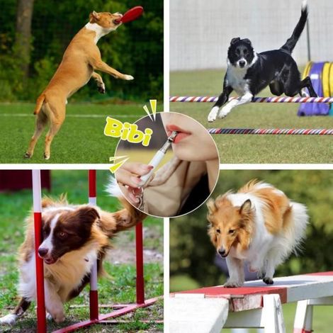 Sifflet pour Chien - 2 Paquets - Réglable - Ultrason - Anti Aboiement (1/4)