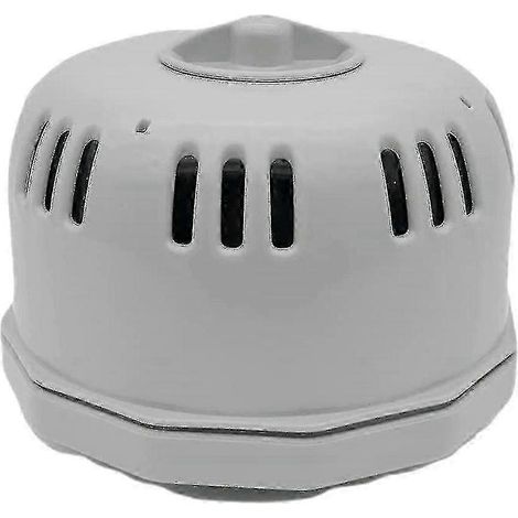 Pour le support de filtre Lay Z V1 S1 pour spas, jacuzzis et piscines : nettoyage (1/5)