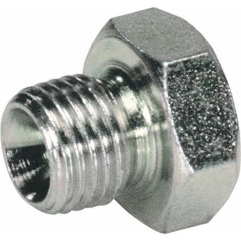 Bouchon Hexagonal mâle fileté 3/4" (Lot de 2)