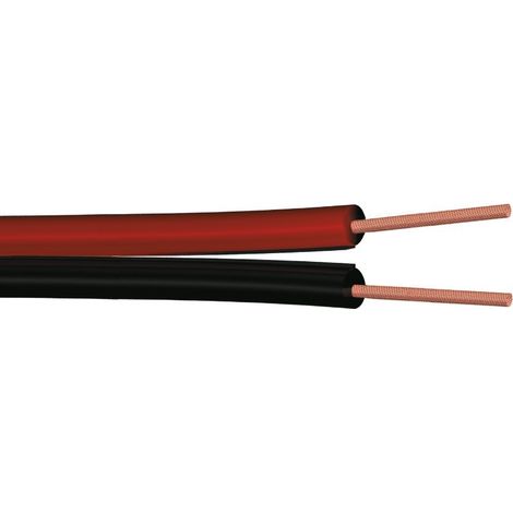 Piattina divisibile da 10 metri sezione 2 x 0,75 mm²