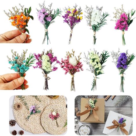 10 Pièce Fleurs Séchées, Mini Fleur Sechees Decoration, Petit Bouquet Fleurs Séchées, Gypsophile Séché Naturelles pour Le Bricolage Les Bougies la Résine, Fabrication Artisanale Scrapbooking (1/5)