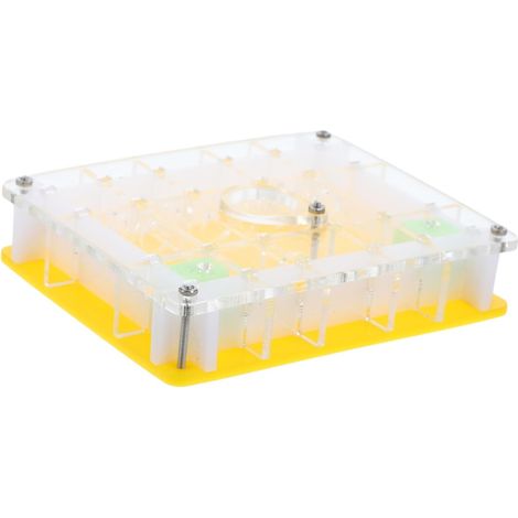 ERINGOGO Caja Nido De Hormigas Acrylique Hormiguero Ecológico (1/5)