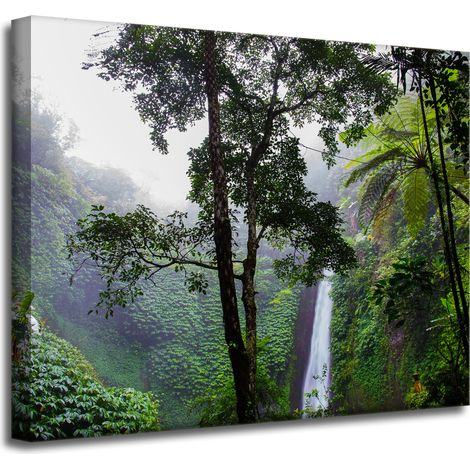 Leinwanddruck Natur Tropischer Wald 50x40 cm