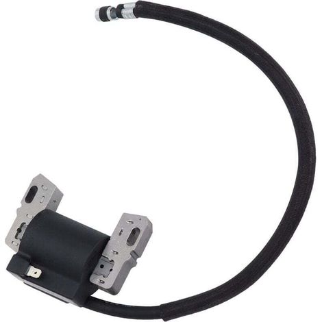 Remplacement de la Bobine D'allumage pour Tondeuse à Moteur 492341 490586 491312 495859 715231 591459 (1/4)