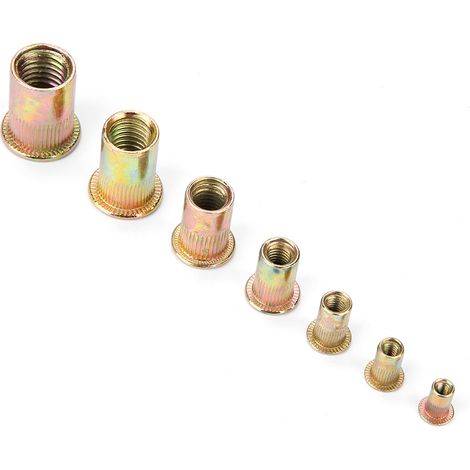 Schachtel mit 150 Flachkopf-Nietmuttern, Nut-Nietmuttern und Rändel-Nietmuttern (1/5)