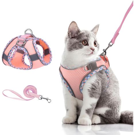 Harnais réglable pour chat et petit chien avec laisse, gilet de marche respirant, harnais de sécurité anti-évasion avec bandes réfléchissantes