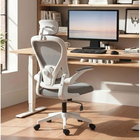 MEUBLIV Sedia da ufficio ergonomica grigia – braccioli sollevabili, supporto lombare (1/5)