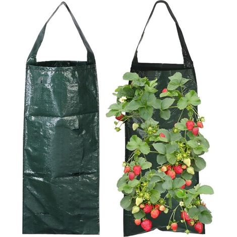 2 Pièces Sac de Plantation pour Fraise, Sacs de Culture à Fraises Suspendu Sac de Culture Potager avec 8 Trous Fraises Sac de Culture, Respirant Réutilisable pour Fraises,Légumes,Fleurs (1/5)