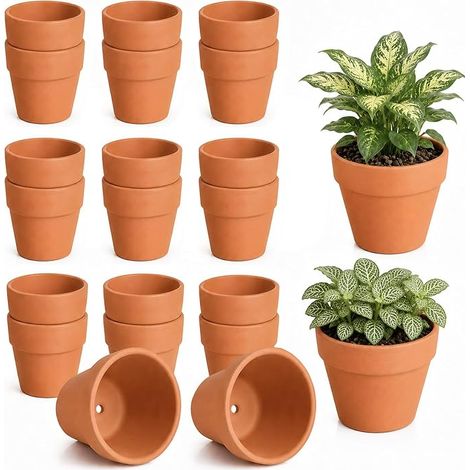 20 Terracotta Pots 2 x 5.5 cm Holes Drainage at the Bottom (1/5)