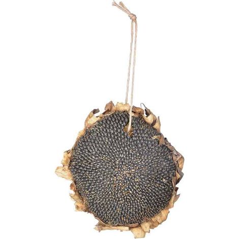 Tournesol séché pour oiseaux 140 gr (1/5)