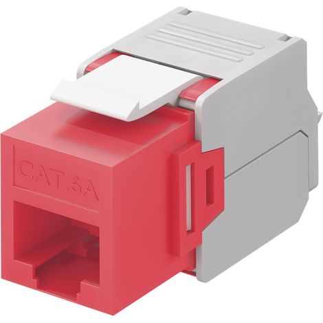 Keystone RJ45 hembra a TIA 568A/B Cat 6 UTP  Rojo (1/3)