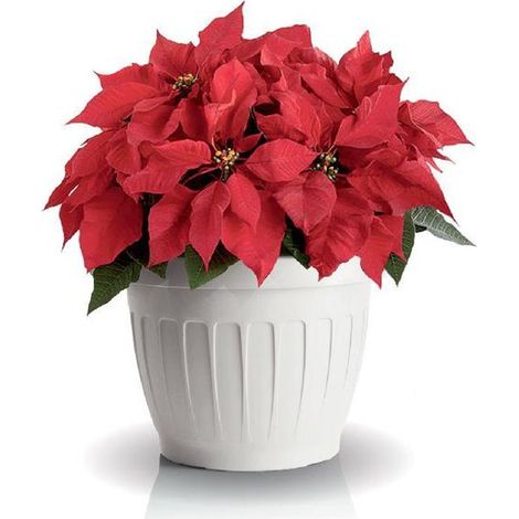 VASO TONDO ø 40 x h.30 Lt. 23 - bianco  - BAMA