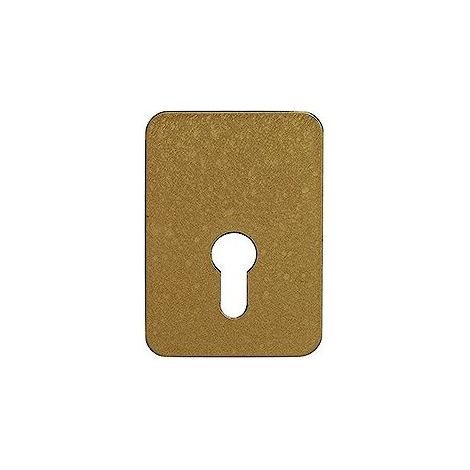 Contreplaque de sécurité pour verrou à cylindre européen – Finition epoxy bronze – Entraxe 40x67mm – Pour portes jusqu'à 50mm d'épaisseur (1/3)
