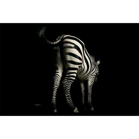 Papier peint panoramique animaux noir et blanc | Tapisserie panoramique tendance pour salon | Papier peint panoramique zèbre - 267 x 400 cm (4 pièces) (1/2)
