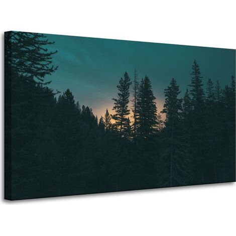 Lienzo impreso Naturaleza Bosque al atardecer 100x60 cm Oscuridad
