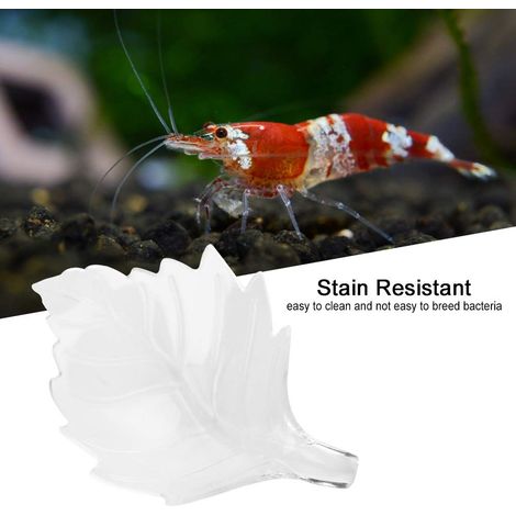 Bol d'alimentation pour crevettes en feuille acrylique pour aq (1/5)