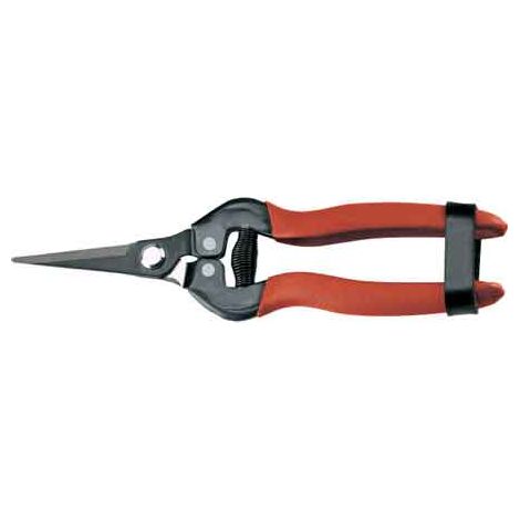 FORBICI COGLIFRUTTA E ORTAGGI AUSONIA 19 cm - AUSONIA