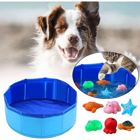 Piscine jouet pour chat avec poissons en plastique (1/5)