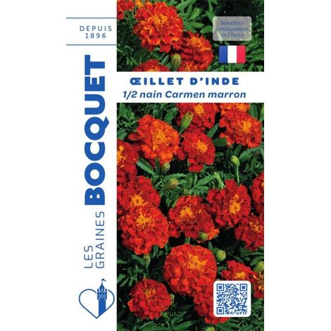 Oeillet d'Inde demi nain marron - 1,2g
