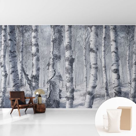 Tapete Vliestapete mit Kleber- abwaschbar - Raumgestaltung Schlafzimmer Wohnzimmer Tapete Frostige Natur 416x254 cm (1/5)
