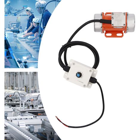 Heimwerkerwerkzeug Betonrüttler, Vibrationsmotor 24V + Drehzahlregler 4000 U/min