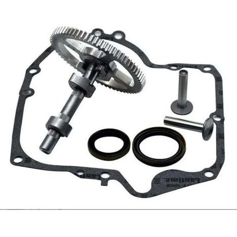 Kit d'arbre à cames compatible avec Briggs & Stratton 793880, 793583, 792681, 791942 et 795102 – Pour moteurs 4 temps – Joints inclus (1/4)