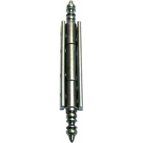 Charnière à vase broche acier / corps acier - QDCR - Vieil argent - 50 mm