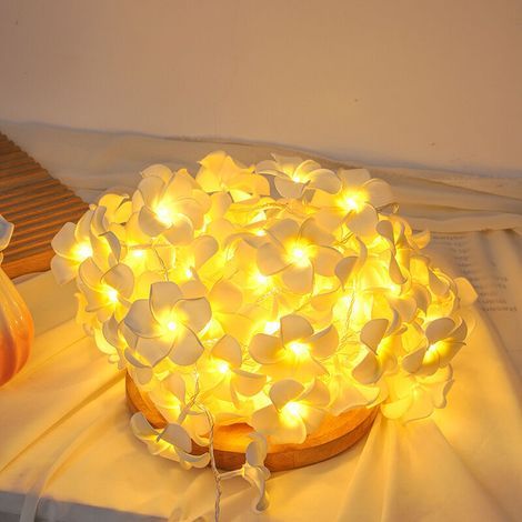 [JAMAIS UTILISÉ] Guirlande lumineuse LED de 6 m avec fleurs artificielles, guirlande lumineuse chaude avec prise USB, idéale pour les mariages, les salons, les fêtes (1/4)