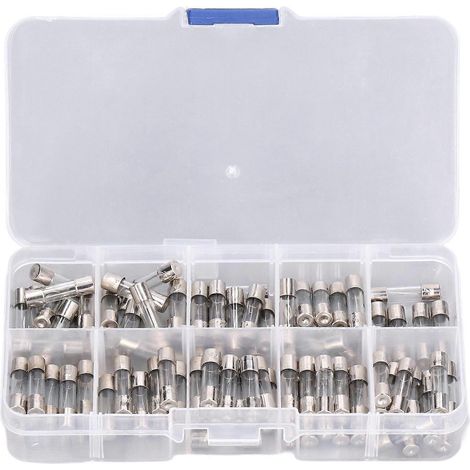 100 Stück Glassicherungsröhrchen 0250V 0,2A20A 5x20mm Sortimentsset für Autospielzeug