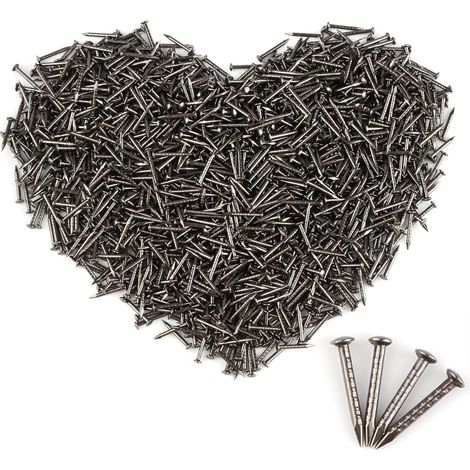 Clous dorés à tête ronde, 1500 pièces petits clous dorés, 1x10mm clous plaqués laiton à tête ronde - petits clous pour bois pour bricolage DIY, fixation de meubles (Noir) (1/5)