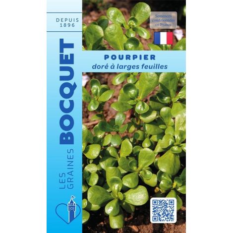 Pourpier doré à larges feuilles - 1g