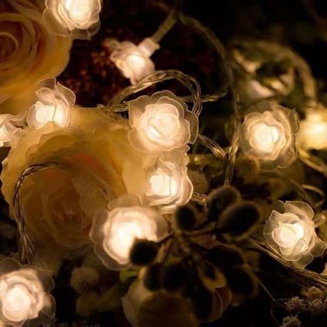 Lumière décorative - LED - Guirlande lumineuse - 3m - Blanc chaud - Intérieur (1/2)