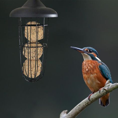 Hängender Vogelfutterspender, Fettkugelhalter aus Metall, Futterspender für den Außenbereich (1/4)