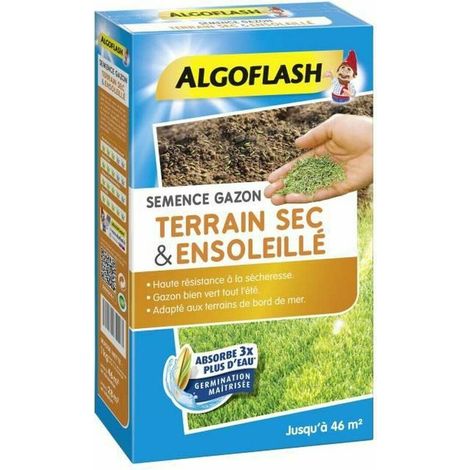 Algoflash Rasenmischung für trockene Böden - Trockenheit resistente grüne Rasen