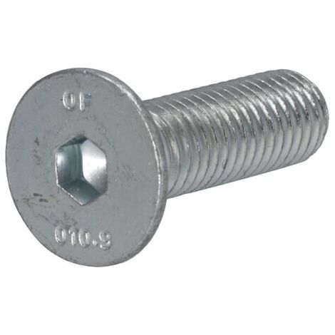 Tornillo HOWARD 87381388 (1/2)