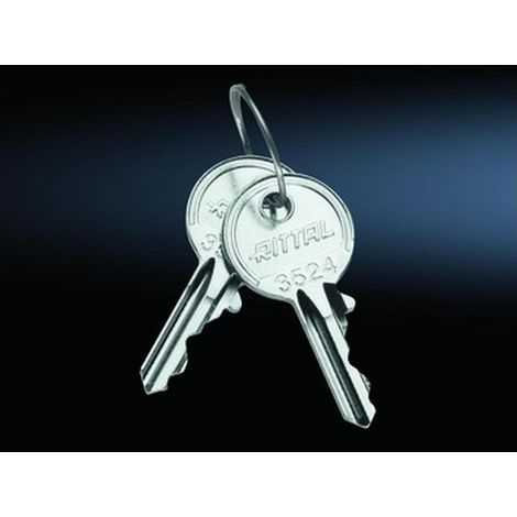 Rittal SZ 2532.000 Schaltschrankschlüssel Sicherheitsschließung Stahl 2 St. (1/5)