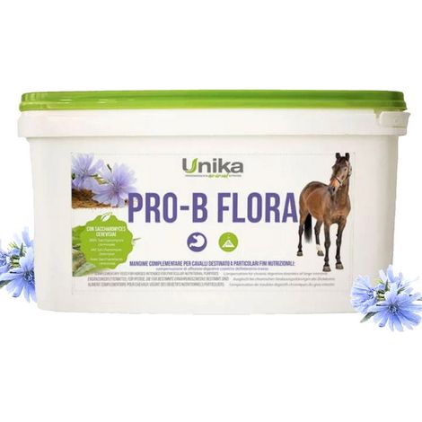 Pro-B Flora unterstützt die physiologischen Bedingungen des Pferdedarms 1,5 kg