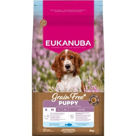 Chiot EUK & Junior SMMED GF de 3 kg