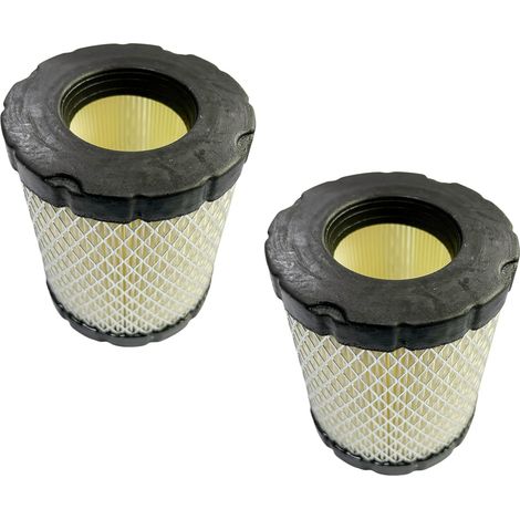 C·T·S 2er-Pack Luftfilter für BS 44P000 49L000 49M000 49Q000 Ersetzt B&S 798897 794935 (1/5)