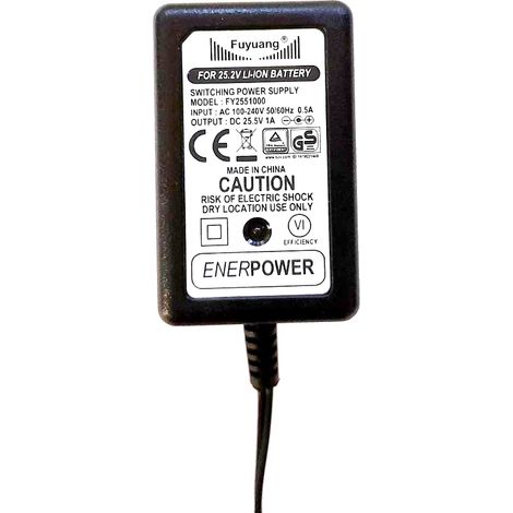 Caricabatterie 6S per batterie agli ioni di litio 21.6V-22.2V 1A DC