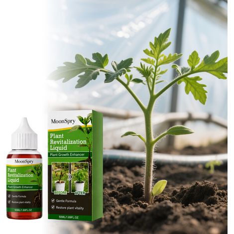 Plant Nutrient Solution for Indoor Ornamental Plants: Strengthens Lateral Roots and Balances Daily Nutrients -- 50ml (1/5)