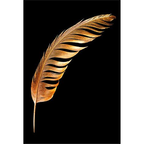 Affiche encadrée plume dorée sur fond noir