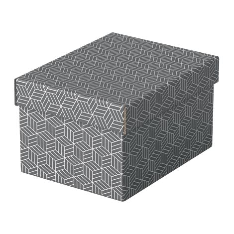 Pack 3 Cajas Grises 255X200X150Mm Esselte 628281 (1/4)