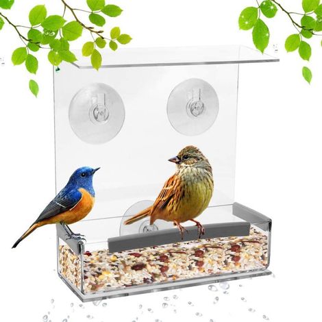 Großes, transparentes Vogelfutterhaus mit Saugnapf und Abflusslöchern (1/5)