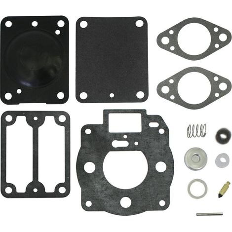 BRIGGS & STRATTON Kit carburatore/pompa benzina motori Boxer. Coperchio a 4 fori 350318