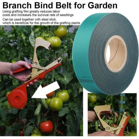Ruban de Greffage en PVC - - 45m - Vert - Durable - Pour Bourgeonnement et Greffage (1/3)